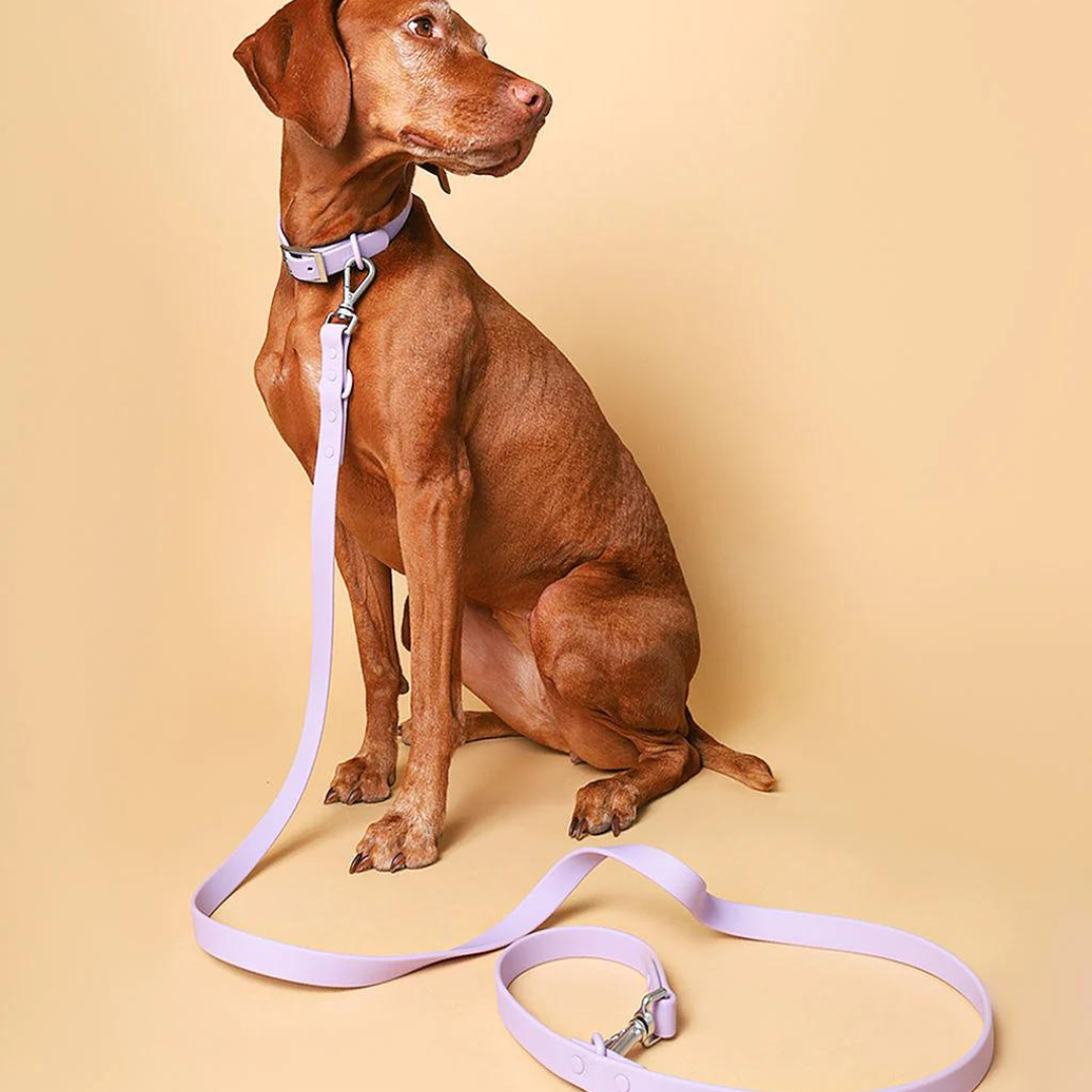 PVC Leash - Lilac | Waterproof & Easy To Clean - Roo Roo Pets