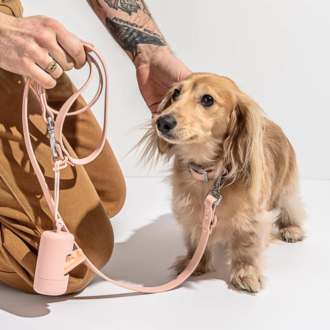 PVC Leash - Pink | Waterproof & Easy To Clean - Roo Roo Pets