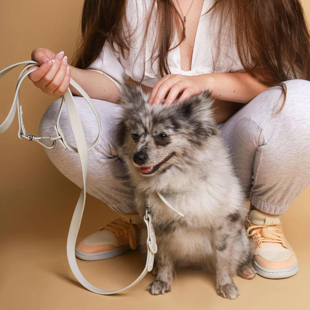 PVC Leash - Grey | Waterproof & Easy To Clean - Roo Roo Pets