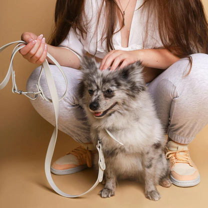 PVC Leash - Grey | Waterproof & Easy To Clean - Roo Roo Pets