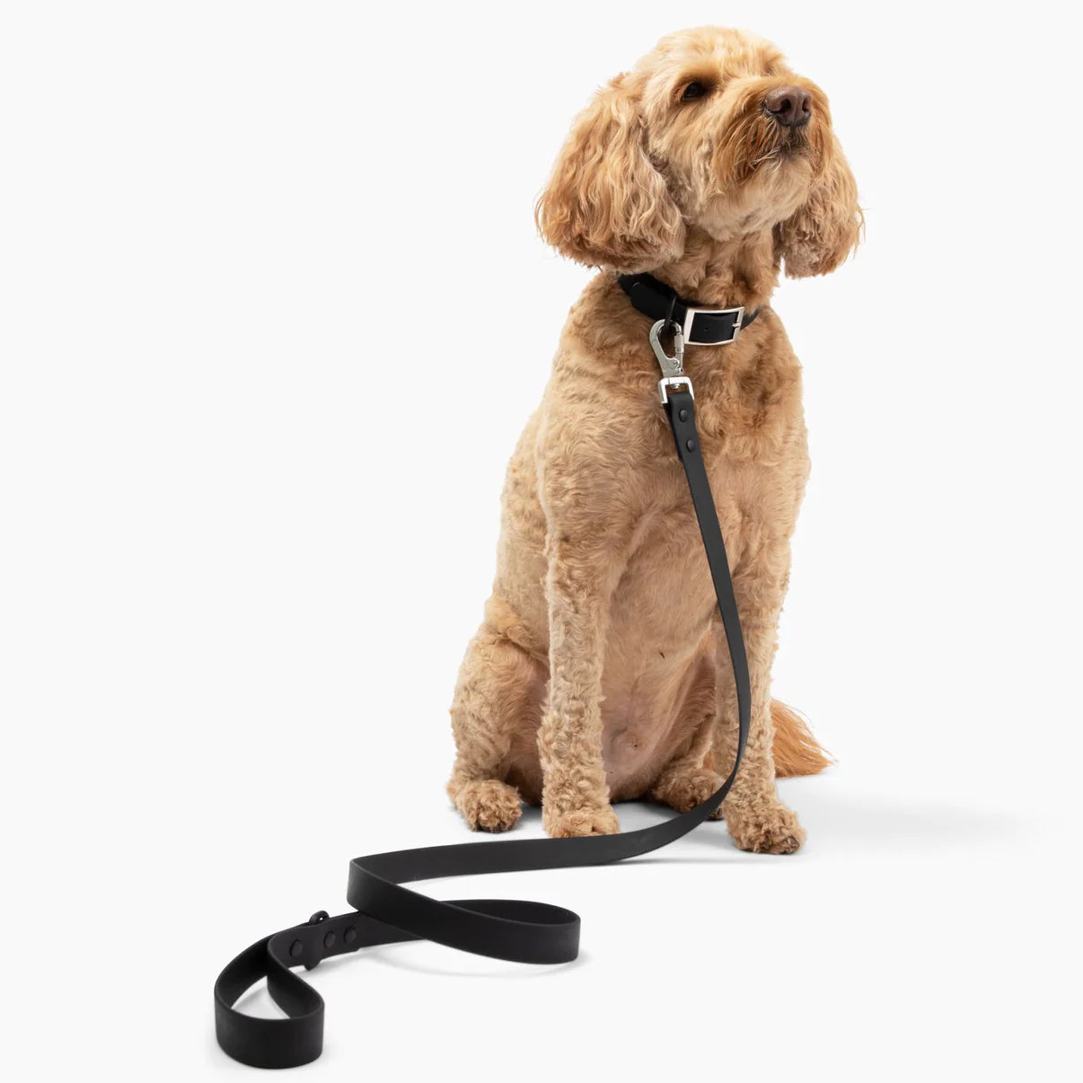 PVC Collar - Black | Waterproof & Odour Proof - Roo Roo Pets